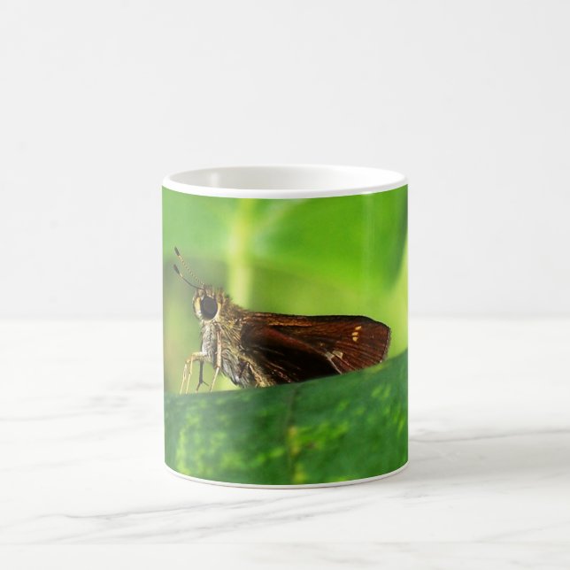 Taza De Café Polilla en la hoja 2 (Centro)
