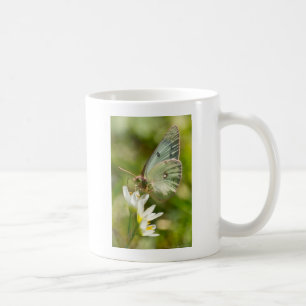 Taza De Café Polilla Verde en Ropa y Regalos de Ajo Falso