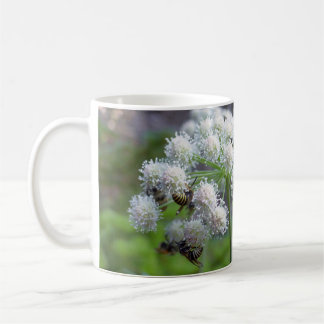Taza De Café Polinizadores sobre las flores de Angélica Blanca