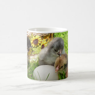 Taza De Café pollito más audaz