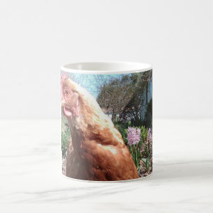 Taza De Café Pollo tímido