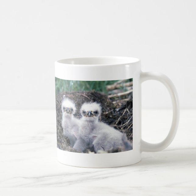 Taza De Café Polluelos de Eagle calvo (Derecha)