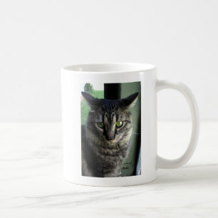 Taza De Café Polvoriento
