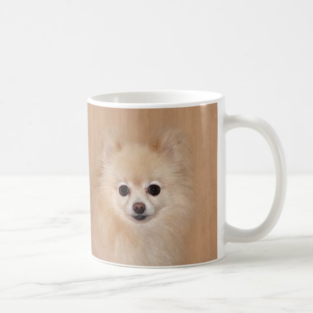 Taza De Café Pomeranian hace frente (Derecha)