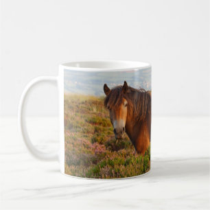 Taza De Café poni de Exmoor, caballo, Somerset, Inglaterra