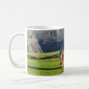 Taza De Café Poni Shetland en pastizal cerca de acantilados alt