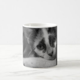 Taza De Café Por favor Kitty
