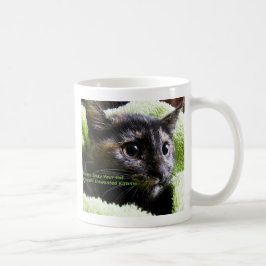 Taza De Café Por Favor, Paga A Su Gato Evitar Gatitos No Desead
