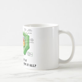 Taza De Café ¿Por qué coma la carne si las células de la planta