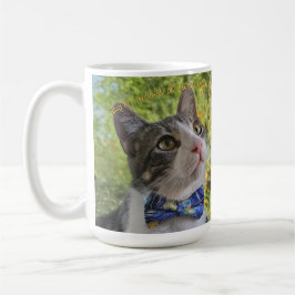 Taza De Café Por qué encajar