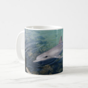 Taza De Café Por qué Hola Sr. Dolphin, Café Mug
