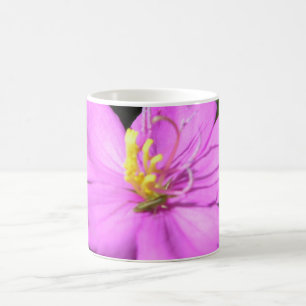 Taza De Café Póster de Plumeria Hawaiana Rosa en Lona Falsa A