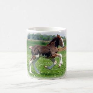 Taza De Café Potra de Clydesdale