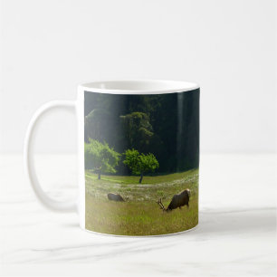 Taza De Café Prado de alces en el Parque Nacional Redwood