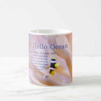Taza De Café precioso pez anemone bebé