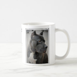 Taza De Café Presa Canario Ceramic Mug