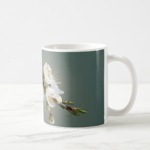 Taza De Café primavera cálida