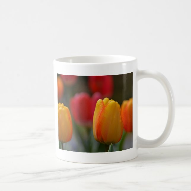 Taza De Café Primavera en colores (Derecha)