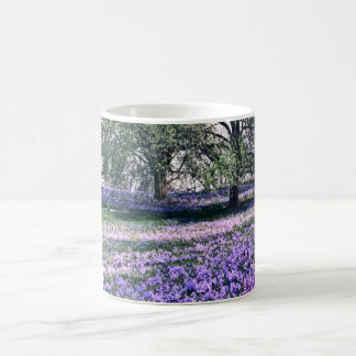 Taza De Café Primavera en los jardines de Longwood