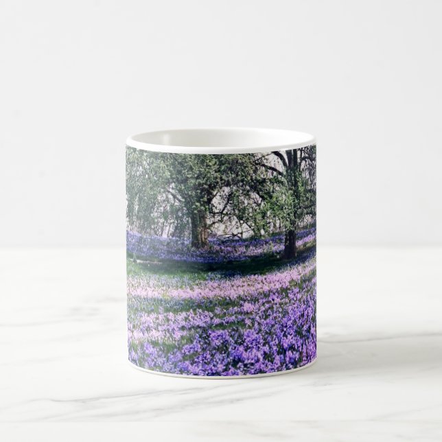 Taza De Café Primavera en los jardines de Longwood (Centro)