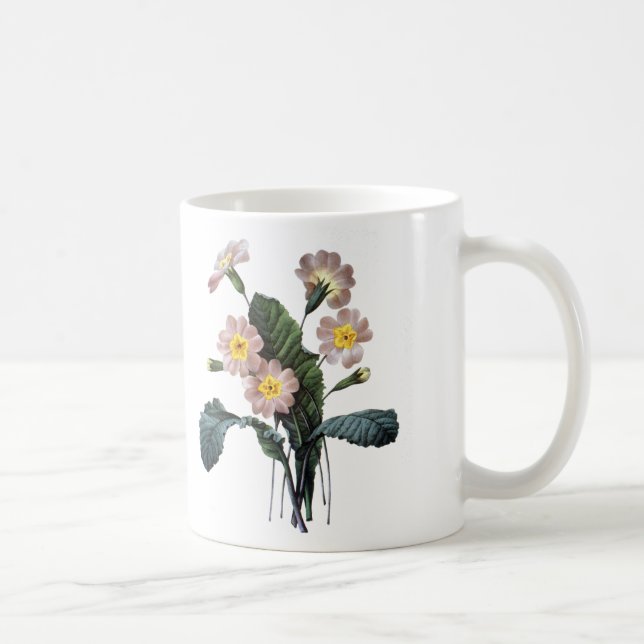Taza De Café Primavera (Primula Aucalis) (Derecha)
