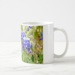 Taza De Café Primer del Bluebonnet