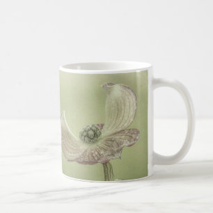 Taza De Café Primer plano de flores de cornejo rosa Seabeck,