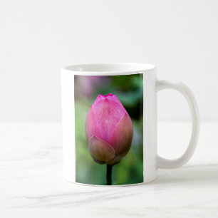Taza De Café Primer plano del capullo de flor de loto, Bali