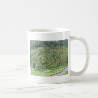 Taza De Café Producto de Indonesia