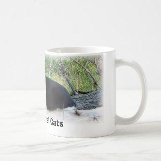 Taza De Café Proteja los gatos salvajes