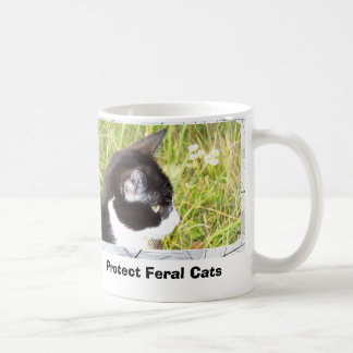 Taza De Café Proteja los gatos salvajes