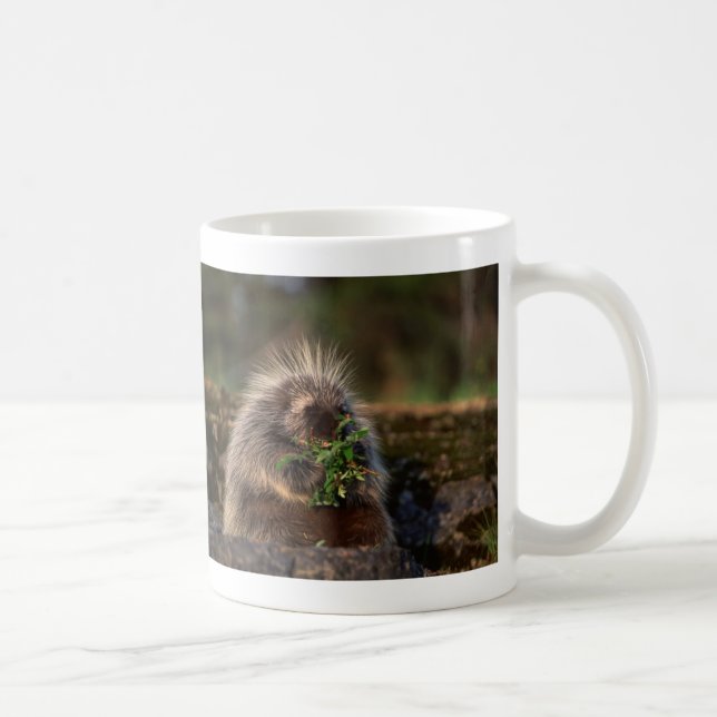 Taza De Café Puerco espín adorable (Derecha)