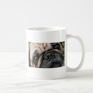 Taza De Café pug fah eyes