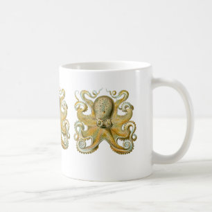 Taza De Café Pulpo común