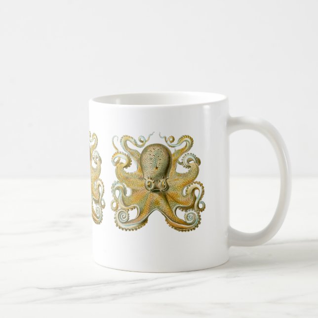 Taza De Café Pulpo común (Derecha)