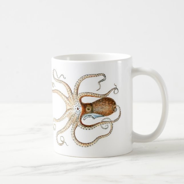 Taza De Café Pulpo vulgaris (Derecha)