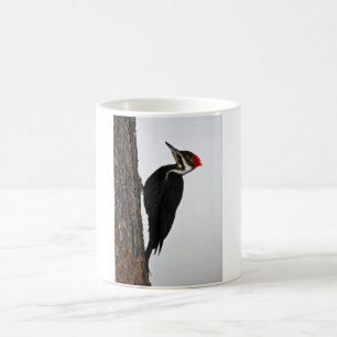 Taza De Café pulsación de corriente pileated