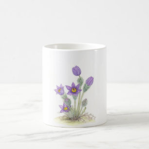 Taza De Café Pulsatilla vulgaris - modificado para requisitos