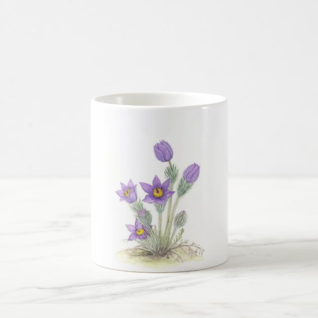 Taza De Café Pulsatilla vulgaris - modificado para requisitos (Centro)