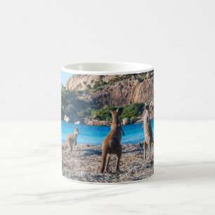 Taza De Café Punto muerto de canguro en la playa