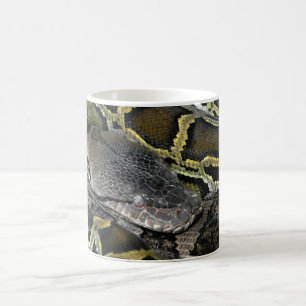 Taza De Café Python molurus bivittatus