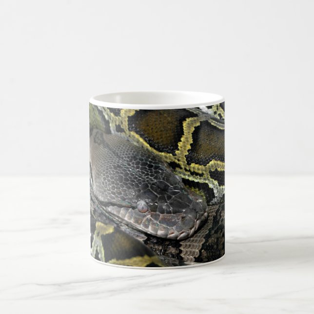 Taza De Café Python molurus bivittatus (Centro)