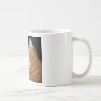 Taza De Café Qué parte de "maullido" usted no entiende