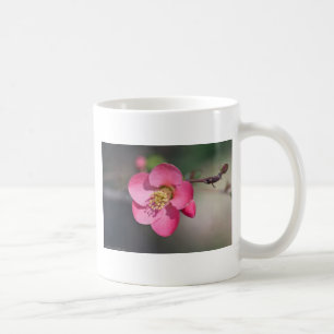 Taza De Café Quince de Flores Rosa Perfecto