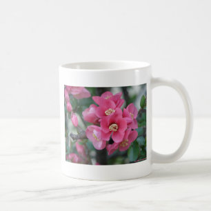 Taza De Café Quince florido de color rosa primavera