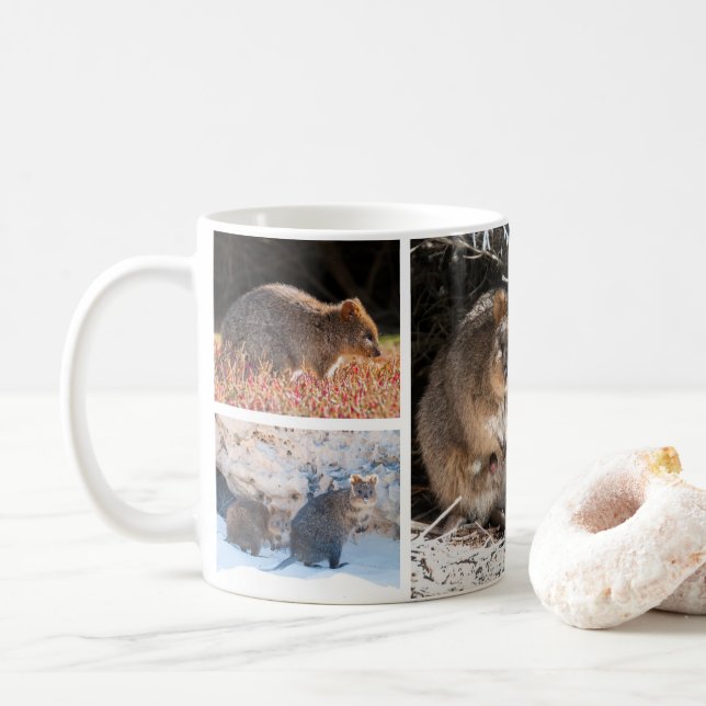 Taza De Café Quokkas de Australia (Con donut)