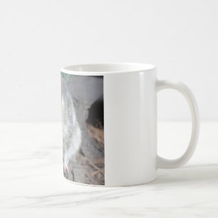 Taza De Café Quoll de Tasmania