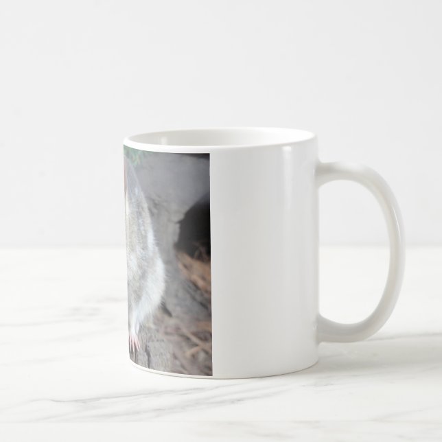 Taza De Café Quoll de Tasmania (Derecha)