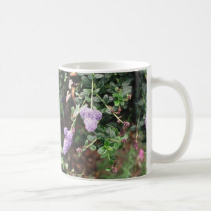 TAZA DE CAFÉ R1-14