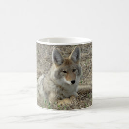 Taza De Café R22 Coyote Acostado